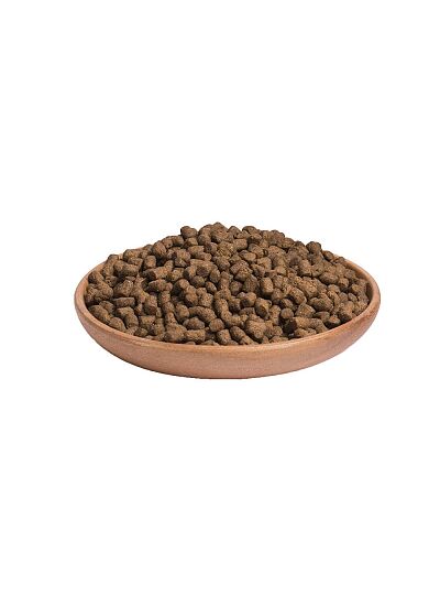Wellness Core Sterilised Ocean με Σολομό 1.75kg