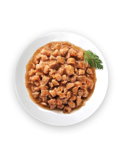 Wellness Core Tender Cuts Fillets Σολομός & Τόνος Σε Σάλτσα 85gr