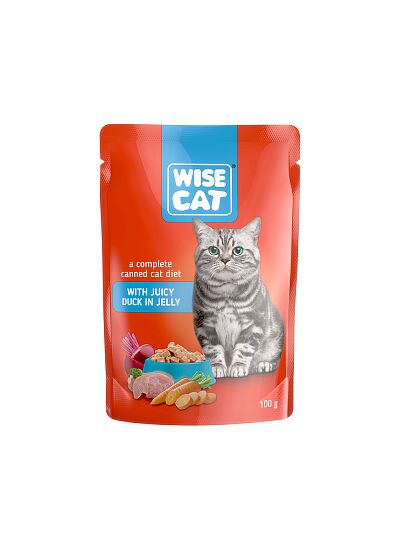 Wise Cat Adult Πάπια σε Ζελέ 100gr