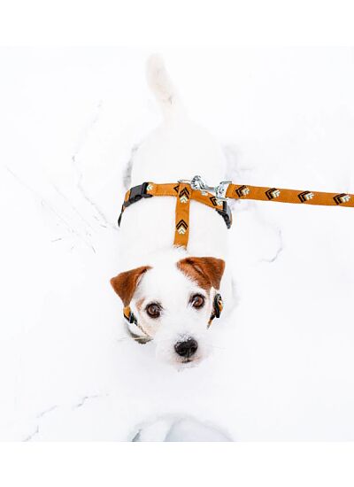 Woolly Wolf Eco Friendly Οδηγός Περιπάτου Sea to Summit Leash (150 cm)