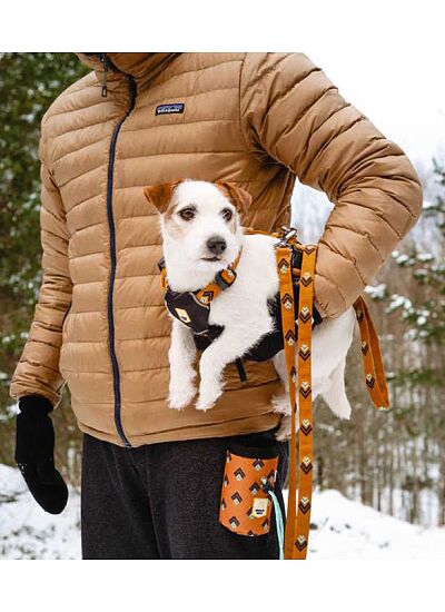 Woolly Wolf Eco Friendly Οδηγός Περιπάτου Sea to Summit Leash (150 cm)