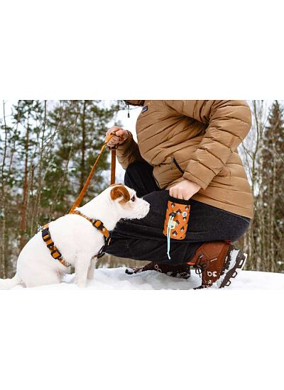 Woolly Wolf Eco Friendly Οδηγός Περιπάτου Sea to Summit Leash (150 cm)