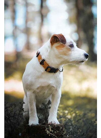 Woolly Wolf Eco Friendly Περιλαίμιο Sea To Summit Collar 35 50cm