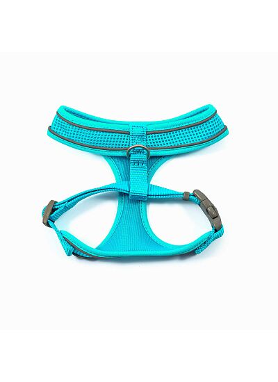 Ancol Περιστήθιο Mesh Comfort Ανακλαστικό Τουρκουάζ Μ 44 57 cm