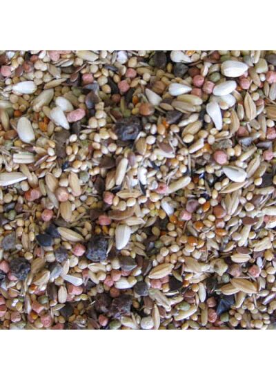 Deli Nature 5* Menu African Large Parakeets Μείγμα για Αφρικανικά Παπαγαλάκια Μεσαίου Μεγέθους 800gr