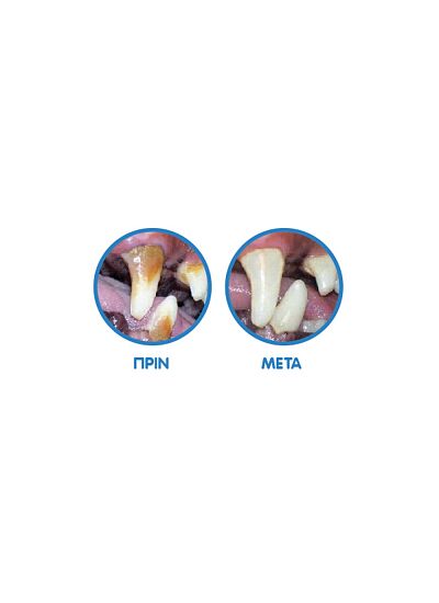 Madpet Plaque Attack Συμπλήρωμα Διατροφής για Σκύλους & Γάτες 80gr