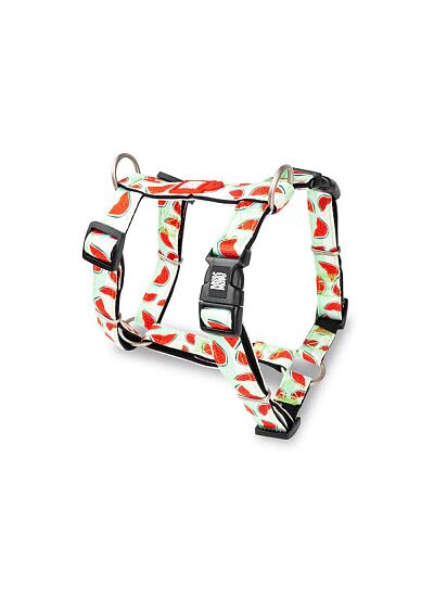 Max & Molly Επιστήθιο H   Harness Watermelon