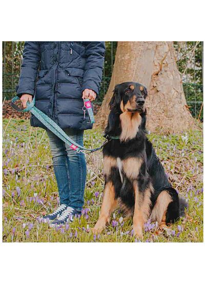 Max & Molly Οδηγός Περιπάτου Short Leash Retro Blue
