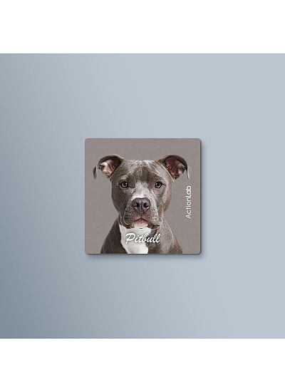 ActionLab Μαγνητάκι Pitbull