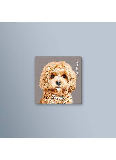 ActionLab Μαγνητάκι Poodle Moca