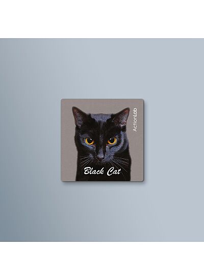 ActionLab Μαγνητάκι Black Cat