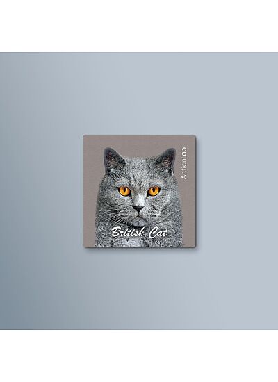 ActionLab Μαγνητάκι British Cat