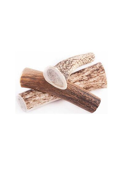 Wildz Natural Antler Chew   Hard, Φυσικό Κέρατο Ελαφιού για Σκύλους (15cm 105gr)/XLarge